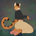 comm done 2025 clothing ver