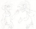 The bird by Morl3y