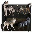OPEN WOLF AUCTIONS by somnoire