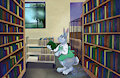 Little Librarian
