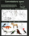 Commission Info (non furry art)