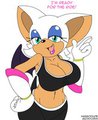 Rouge - Riders Time by Habbodude