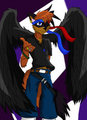 Dark Wings of a Thief