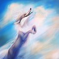 Let Me Fly Once Again