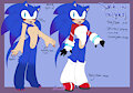 Sonik the Hedgehog (Kinsona)