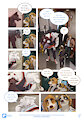 Lush Puppies - P17 to P21 by Anhes