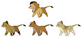 Lion Pride Adopt [OPEN]