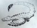 Raptor do da Flop by Jaxfera