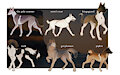 open // dog batch by somnoire