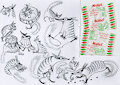 timely numbats by Jacqal