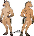Fjord Horse