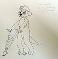 EF19 - Hard working meerkat