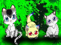 Kittens