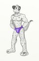 Dalmy Markers by Domafox