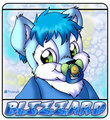 Blizzard Mini Tag