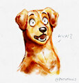 Huh? by PapuPaws