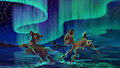 Under the Northern Lights by stuffalso