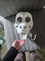RAFFLE HEADBASE by BunnyMellow