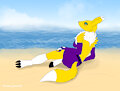 dracko_1997 by FrickenStoat