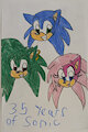 35 Years of Sonic by PrincessShannon