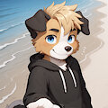 Come With Me by DainenDog