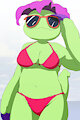 Summer Palmon by vulapa