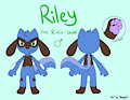 Riley Ref Sheets (Riolu & Lucario) by RileyRiolu