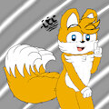 Cute Tails
