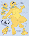 NEW CHUD REF SHET