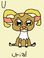Urial in AngesSZ's Animal Alphabet Cards