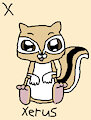 Xerus in AngesSZ's Animal Alphabet Cards