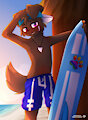 Hang Ten - Coloured by errorpika1440