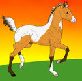Foal