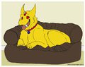 Oh Boy! New Bed~! 