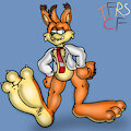 Modern Bubsy by TheRedSkunk