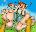 Kitty Footrubs