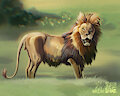 Photo study by MelodyOfForest