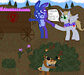 Alliance negotiations