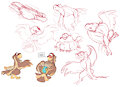 Bird Sef Sketches by Sefeiren