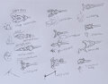 world building sketches by sylveon69