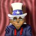 Uncle Sam's had rough day