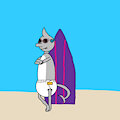 Surf Shark.