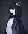 Snowdrift badge