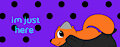 Oxyani banner