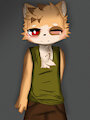 fox by ShinLceChan