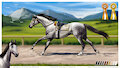 Thoroughbred horse custom design by MsBeesa