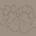 Pawbs by WhyVern