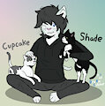 Citty Cats