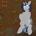 Moyo Ponies