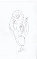 hen? by orchua